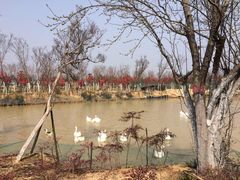 -武汉紫薇都市田园