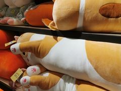 -酷乐潮玩(金桥国际店)