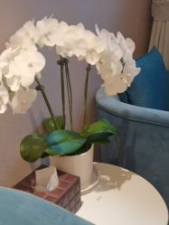 -Yestar杭州艺星医疗美容医院