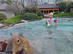 -郑州银基黄帝宫御温泉