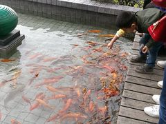 -千岛湖品鱼馆(钓鱼岛店)