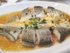 -渔意楼·驰名沙田乳鸽(五羊店)