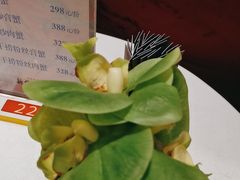 -新雅粤菜馆(南京东路店)