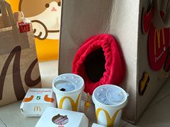 -麦当劳(万博一路天河城分店)