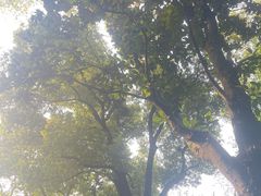-汇龙潭