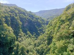 -碧峰峡风景区