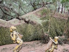 -北海金海湾红树林生态旅游区