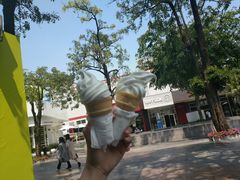 -麦当劳(花园城中心店)