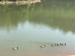 -滴水岩森林公园