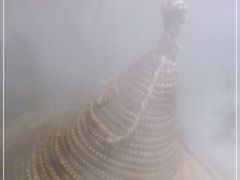 -咕嘟草帽鱼·牛奶一样的鲜鱼汤(包河万达广场创始店)