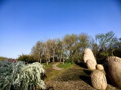 -上海共青森林公园