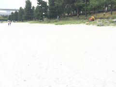 -台场海滨公园船码头