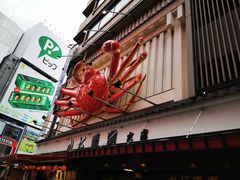 -蟹道乐(道顿堀本店)