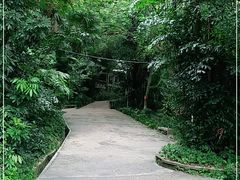 -中山公园(石岐街道)