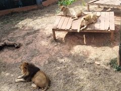 -昆明动物园