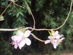 -白鹭湾湿地公园