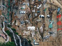 -西霞口神雕山野生动物世界