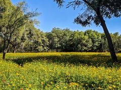 -朝阳公园游乐园