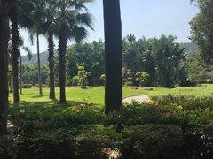 -东南花都花博园