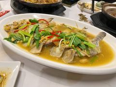 豆酱烧马头鱼-廣味潮鲜·一品潮滋味(五道口店)