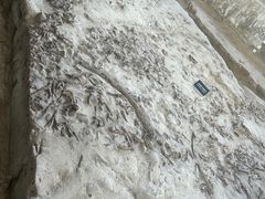 -金沙遗址博物馆