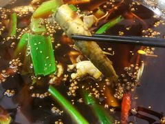 -邱氏胖泥鳅(大堰店)