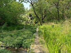 -白水寺森林公园