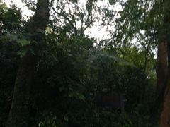 -上海佘山国家森林公园西佘山园