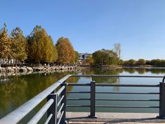 -大兴滨河森林公园