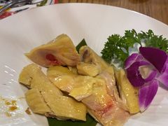 -新白鹿餐厅(百联中环店)