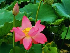 -天津东丽湖风景区