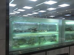 -盒马渔市餐厅
