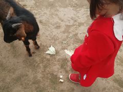 -黄龙溪欢乐田园