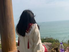 -广东惠东海龟国家级自然保护区