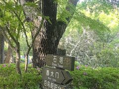 -汇龙潭