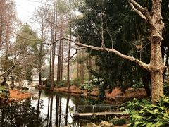 -上海植物园-4号门售票处