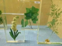 -陕西自然博物馆