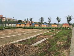 -上海崇明金茂凯悦酒店