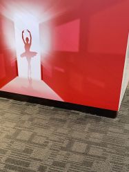 -上海玫瑰医疗美容医院