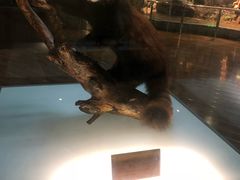 -陕西自然博物馆