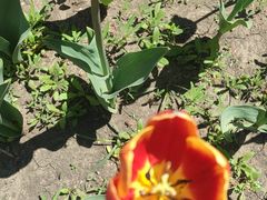 -长春公园(普阳街道)