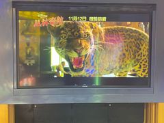 -万达影城(大明宫万达广场IMAX店)