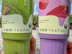 -星满杯TEAFUL(罗湖东门店)