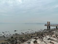 -深圳湾公园(南山区)