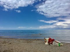 -青海湖国家重点风景名胜区