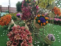 -万顷园艺世界