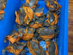 -杨记海鲜楼(三门黑金冠店)