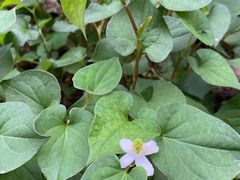 -白沙农贸综合市场