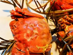 -老版火锅.12年西安排队王(沣峪口店)