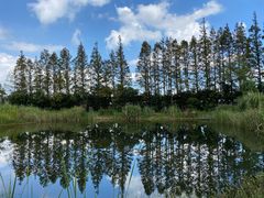 -前小桔亲子创意农场·草莓采摘·露营烧烤